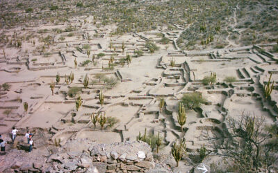 Otmeni i uporni u nestajanju