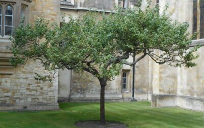 Proročanstvo i kako ga dočekati